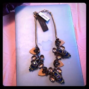 J.Crew Rivera Necklace and Earrings